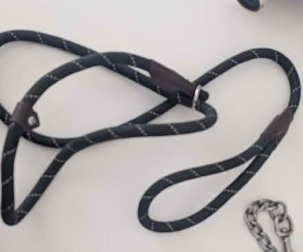 Photo of free Slip lead (BN27) #1