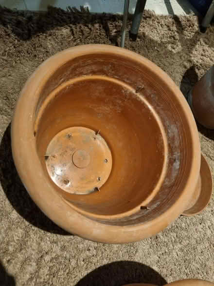 Photo of free Plant pots (SE20) #3