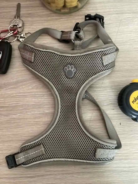 Photo of free Grey puppy harness (Beaconside ST16) #1