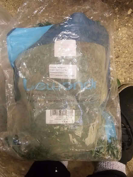 Photo of free Decorative moss (Bromham MK43) #2