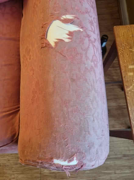 Photo of free Old Two Seater Sofa (Caversham RG4) #1