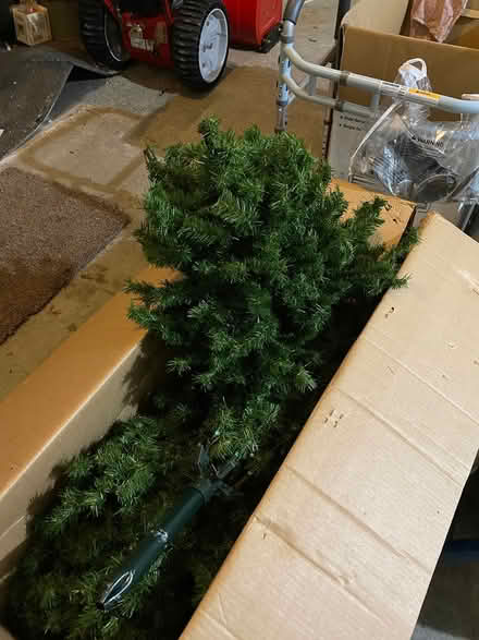Photo of free Good quality Christmas Tree (Easthampton) #2