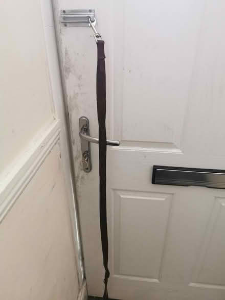 Photo of free Pet lead (Parkstone BH14) #1