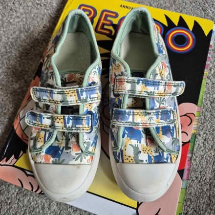 Photo of free Kids shies (Boggart hill LS14) #1