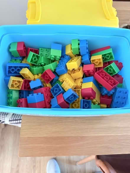 Photo of free Mega blocks (Stone Cross BN24) #1