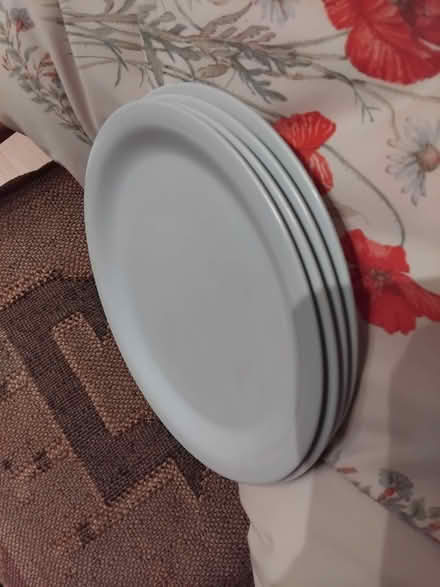 Photo of free a few plastic plates (islington N1) #1