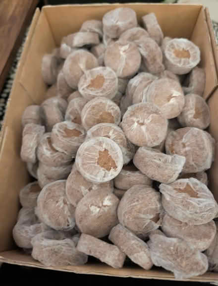 Photo of free Coir widgets to grow seeds in (Hertford SG13) #1