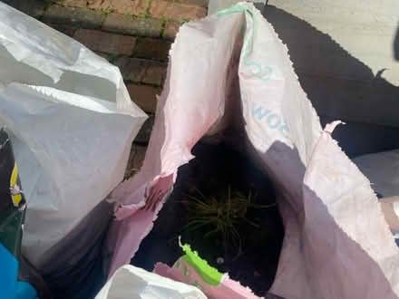 Photo of free Soil / top soil x 8 bags (BN17 6JD) #2