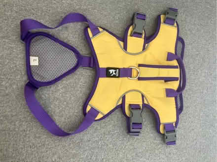 Photo of free Purple and Yellow dog harness (Beaconside ST16) #2