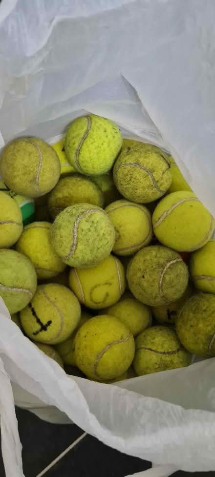 Photo of free Used tennis balls (Priestwood RG42) #1
