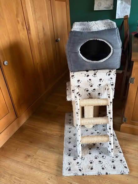 Photo of free High Cat bed/scratching post (Chellaston derby DE73) #3