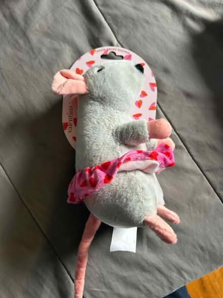 Photo of free Dog toy (New Hyde Park) #1