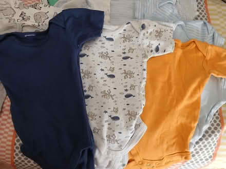Photo of free Baby bodysuits (Blackbird Leys OX4) #2