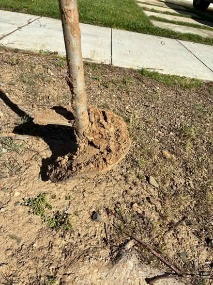 Photo of free Heavy Utility Ground Anchor (Southeast Sunnyvale) #3