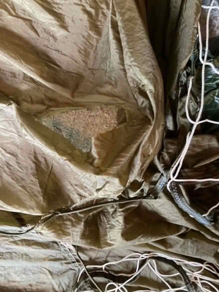 Photo of free Huge parachute (Quakers' Wood LA12) #3