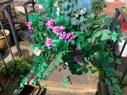 Photo of free Artificial flowers (Southport PR9) #1
