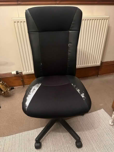 Photo of free Office chair - height adjustable (Bellevue EH7) #1