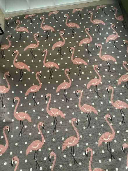 Photo of free Flamingo rug (Peachcroft OX14) #1