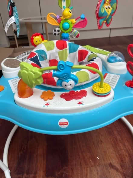 Photo of free Baby Bouncer (Dartmouth Park NW5) #1