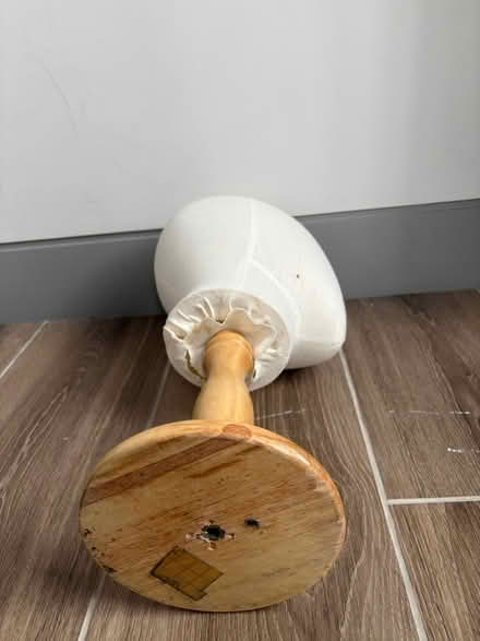 Photo of free Mannequin Head for collection N11BE now 16 March 2026 (Bingfield Park N1) #3