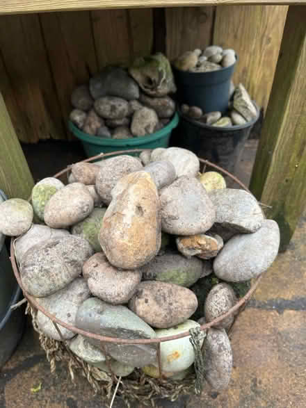 Photo of free Pebbles (Wilbury avenue BN3) #1