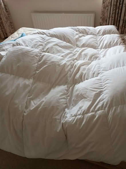 Photo of free Organic feather sgl duvet (Ballinteer) #1