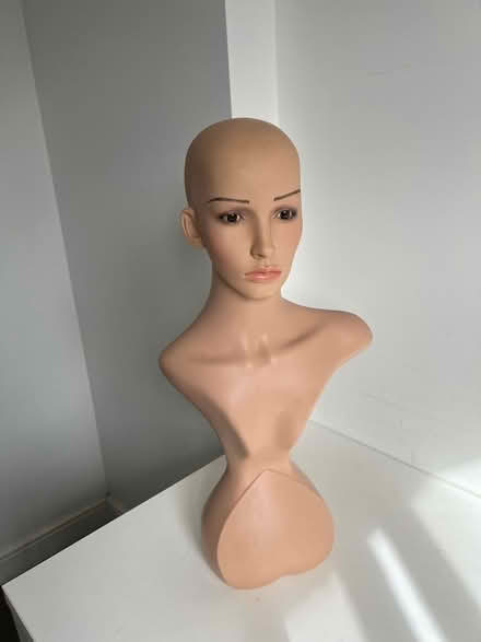 Photo of free Mannequin Head Stand (Downham BR1) #4