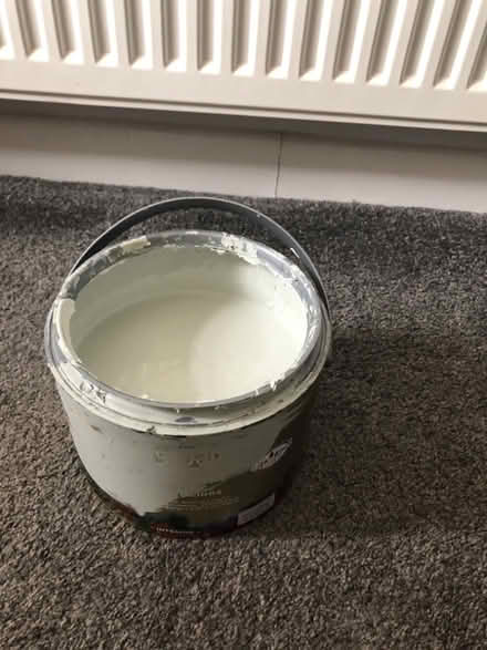 Photo of free Valspar walls and ceilings paint (Hartwood Green PR6) #1
