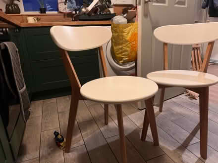 Photo of free White chairs (E17) #1