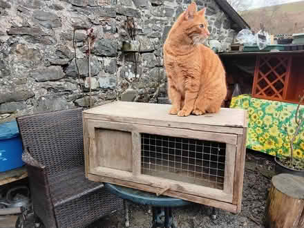Photo of free Small animal hutch (Near Newtown, Powys LD1) #1
