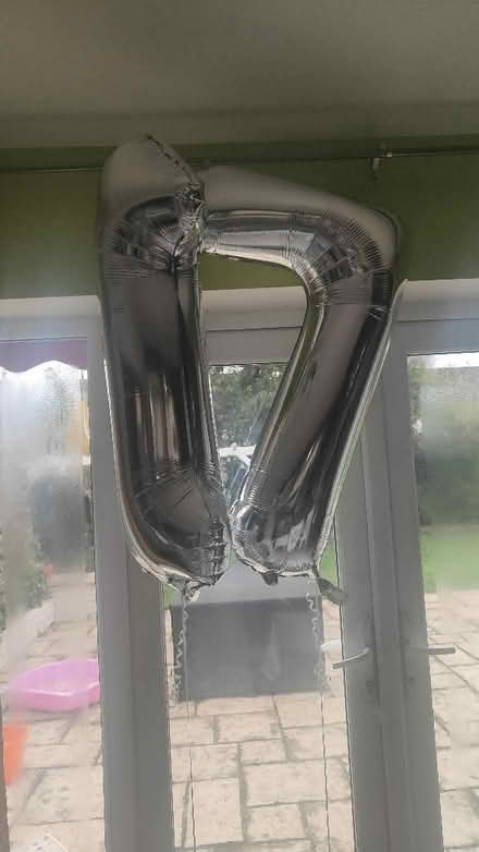 Photo of free 17th Birthday Party Decorations (Woodley RG6) #1