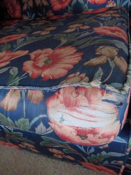 Photo of free Sofa & Armchair (Llandrindod LD1) #4