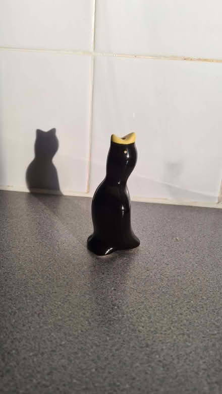 Photo of free Pie bird (Craven Road CV21) #1