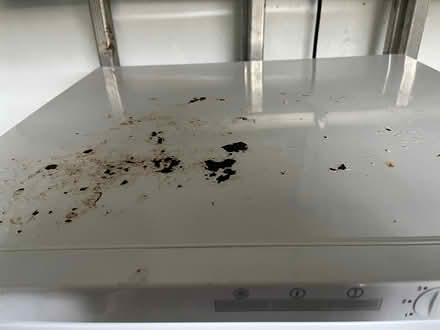 Photo of free Freezer (Nr Bridport DT6) #4