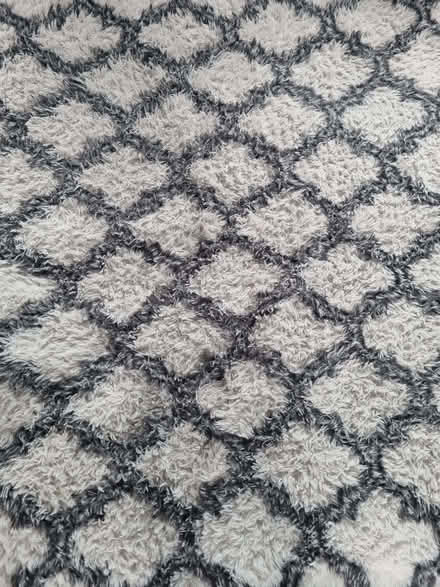 Photo of free Rug (Penrith CA11) #1