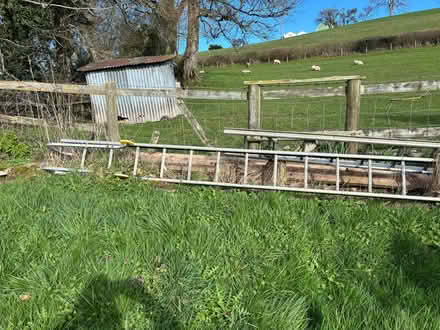 Photo of free Ladder x 2 (Boughrood LD3) #1