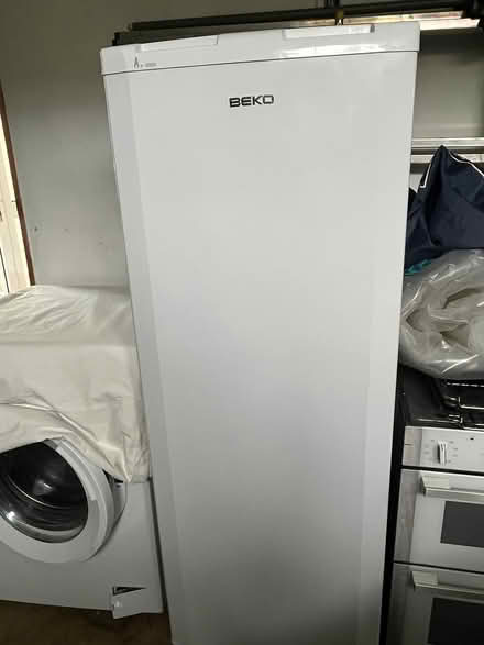 Photo of free Freezer (Nr Bridport DT6) #1