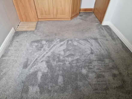 Photo of free Grey bedroom carpet (Barnsley S71) #1