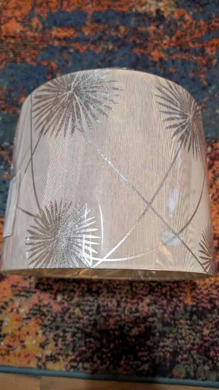 Photo of free Lamp shade (Combe Down) #1
