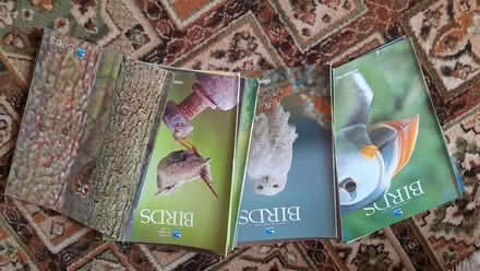 Photo of free RSPB magazines (Loughton IG10) #1