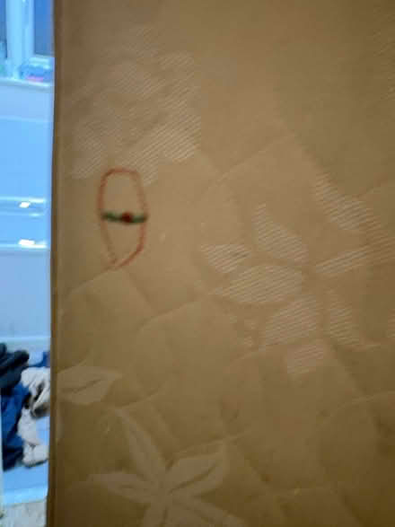 Photo of free Single devan bed base (Lillington CV32) #4