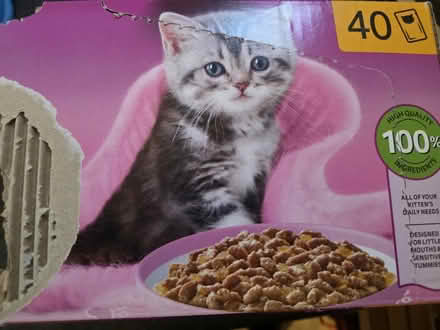 Photo of free Kitten food for Kittens only (Chester CH2) #1
