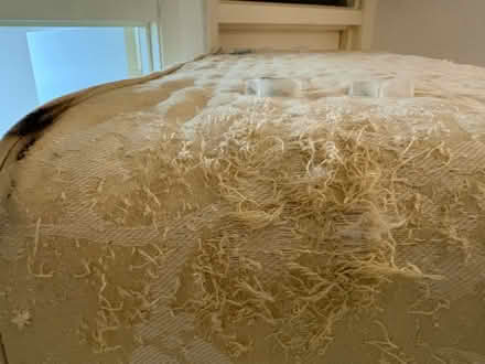 Photo of free Single devan bed base (Lillington CV32) #1