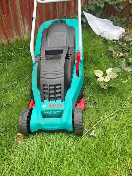 Photo of free Garden stuff (Atherstone CV9) #1