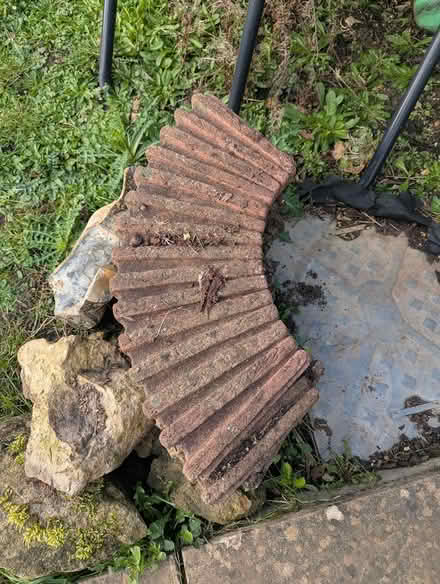 Photo of free Curved concrete edging (Abingdon OX14) #2