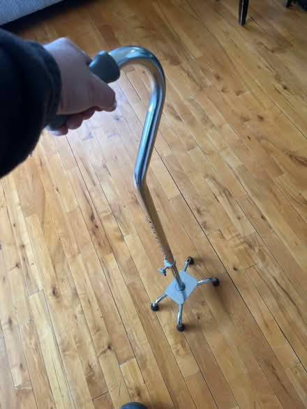Photo of free Walking Aid/Cane (Grove Rd and Harris) #2
