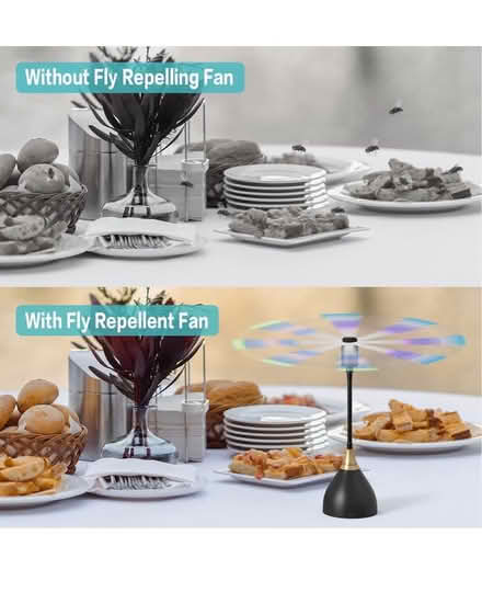 Photo of free Practical Fly Repellent Fan (SW8) #3