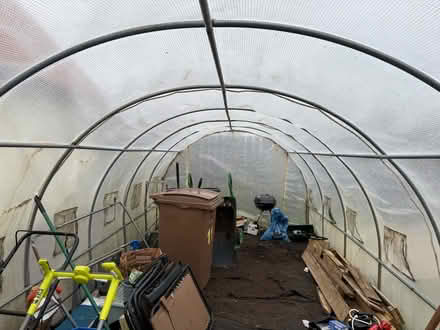Photo of free 6m x 3m POLYTUNNEL (Nafferton YO25) #3