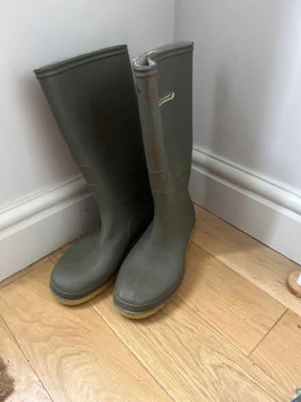 Photo of free Size 37 wellies (Great Baddow CM2) #1