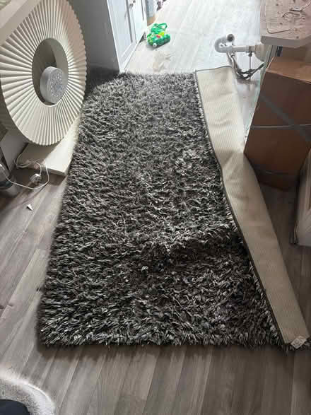 Photo of free Big rug (Elm Park) #1